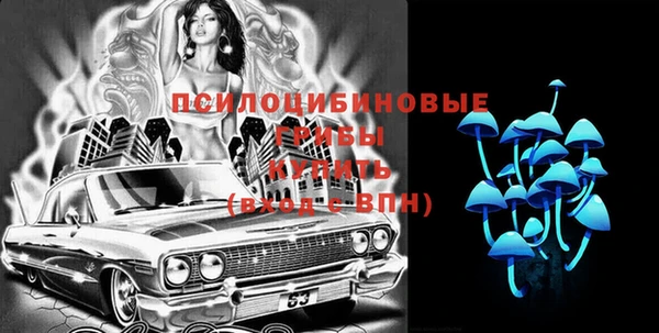 бошки Алзамай