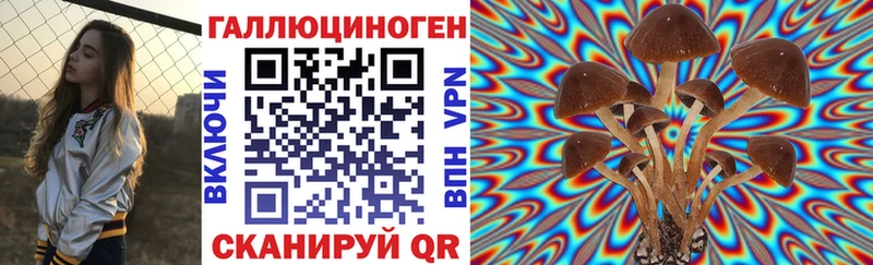 Псилоцибиновые грибы Psilocybe  Киселёвск 
